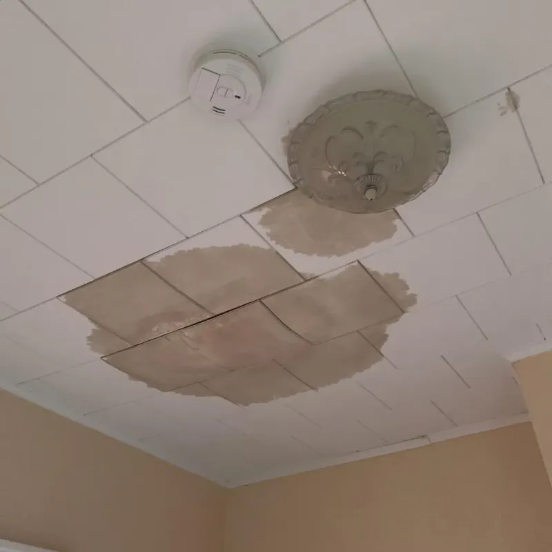 Ceiling Water Damage Repair in Crystal Lawns, IL