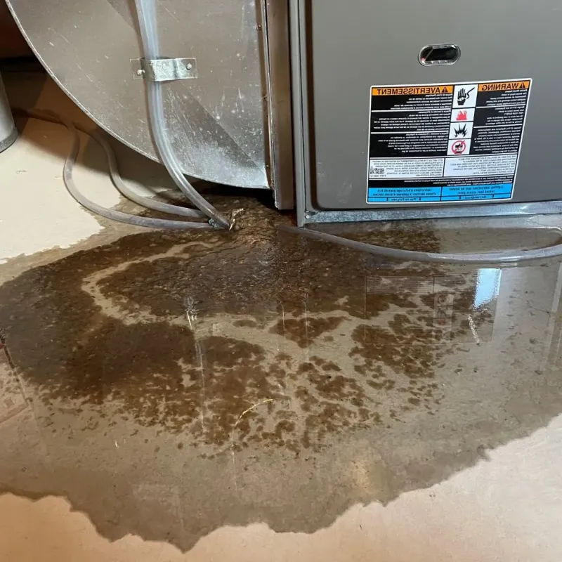 Pipe Burst and Leak Restoration in Crystal Lawns, IL