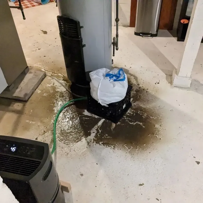 Sewage Backup Cleanup Service in Crystal Lawns, IL
